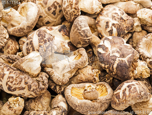 Image of Dried shiitake