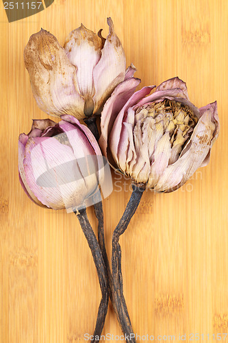 Image of Bouquet of dried lotus