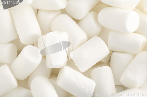 Image of Marshmallow