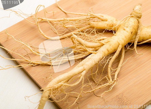 Image of Ginseng