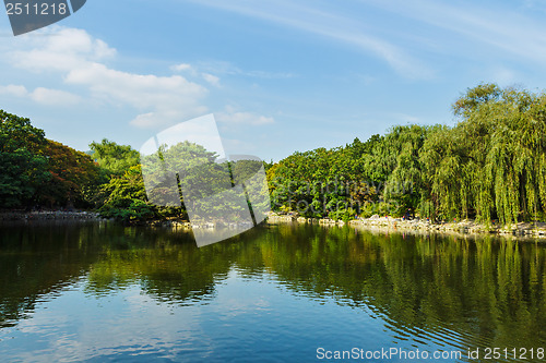 Image of Wetland