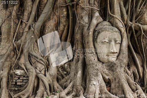 Image of Buddha head in banyan tree at Ayutthaya