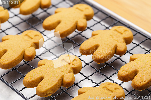 Image of Baked gingerbread cookies