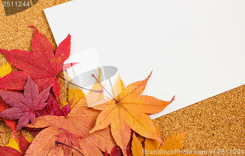 Image of Greeting card with maple