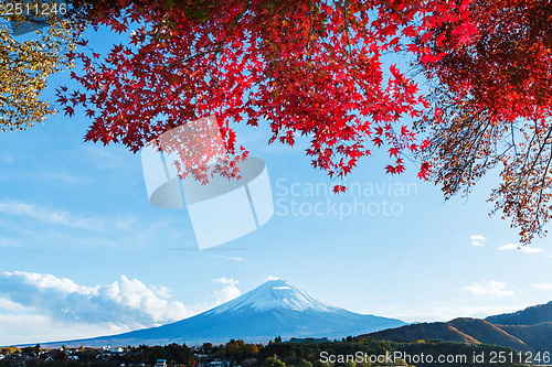 Image of Mt. Fuji in autumn