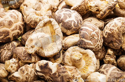 Image of Dried shiitake