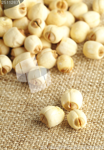 Image of Lotus seed on linen background