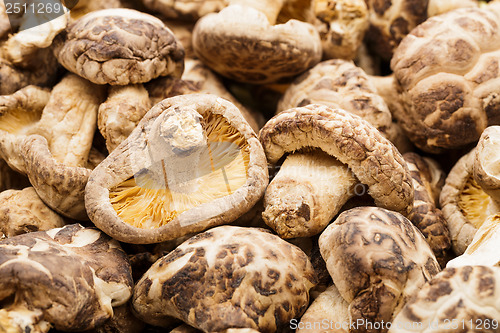 Image of Heap of the dried mushrooms
