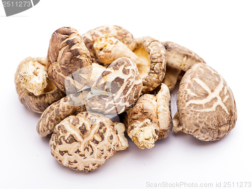 Image of Dried shiitake isolated on white