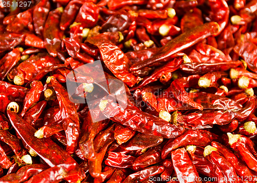 Image of Red Chili peppers