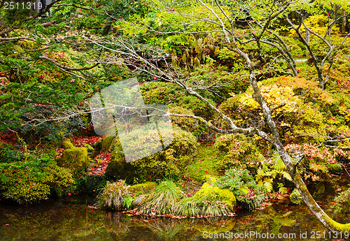 Image of Forest and lake during autumn