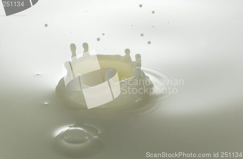 Image of milk