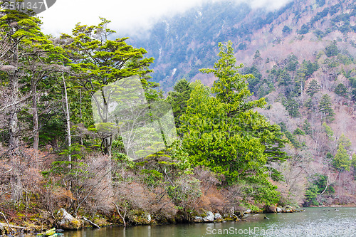 Image of Lake and forest