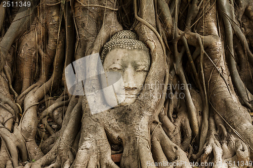 Image of Buddha head in banyan tree at Ayutthaya