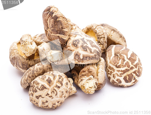 Image of Shiitake isolated on white