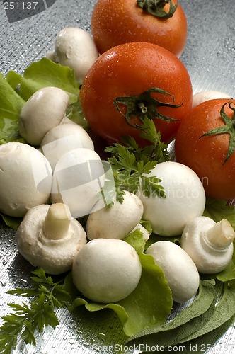 Image of mushroom