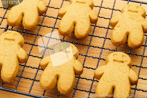 Image of Baked gingerbread cookies 