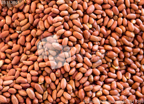 Image of Peanut kernels