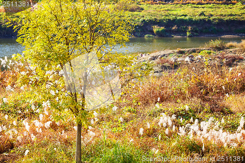 Image of Natural landscape during autumn season