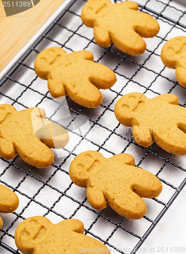 Image of Gingerbread cookies