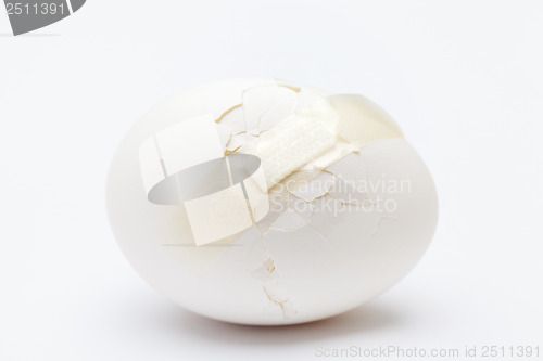 Image of Cracked white egg