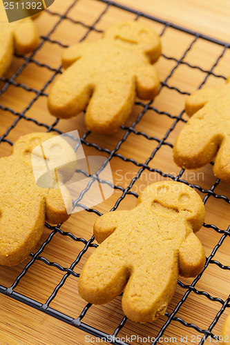 Image of Homemade gingerbread cookies 