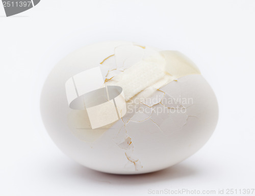 Image of Cracked white egg