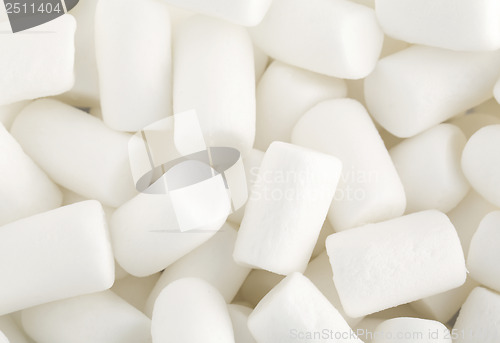 Image of Marshmallow