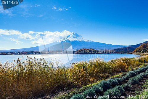 Image of Mt. Fuji during autumn