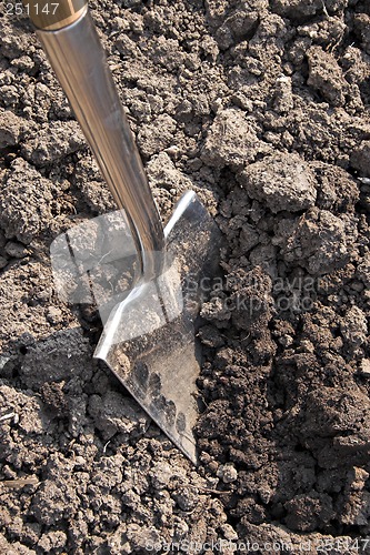 Image of Digging