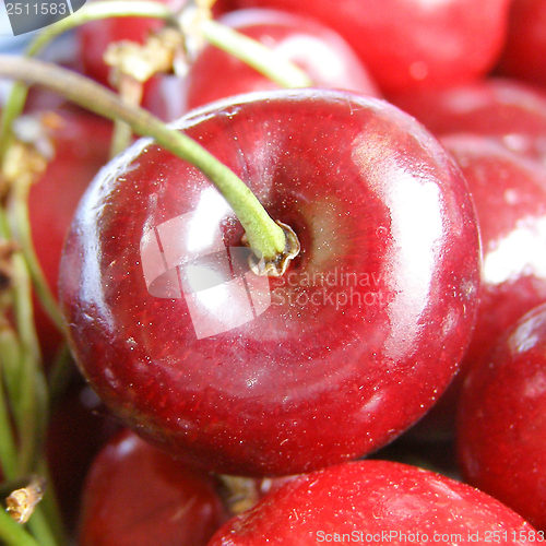 Image of Cherry picture