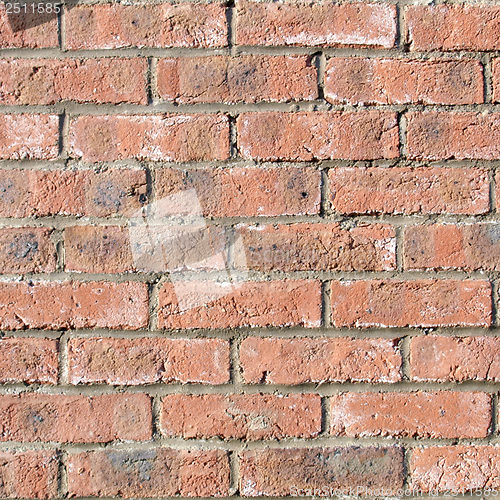 Image of Brick wall