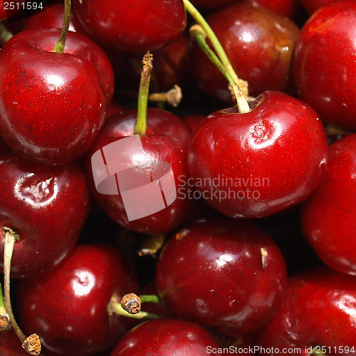 Image of Cherry