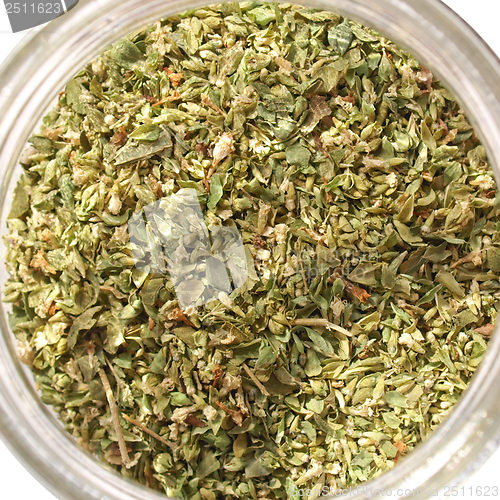 Image of Oregano picture