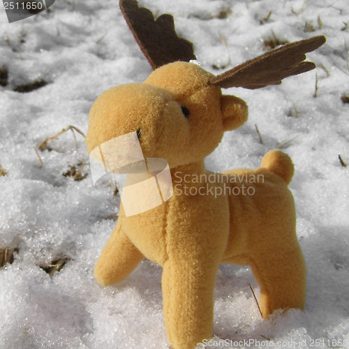 Image of Deer picture