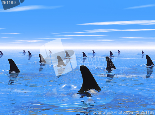 Image of Swimming with sharks
