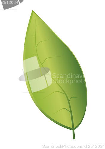 Image of Eco leaf