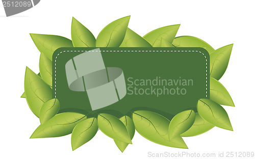 Image of Eco leaf