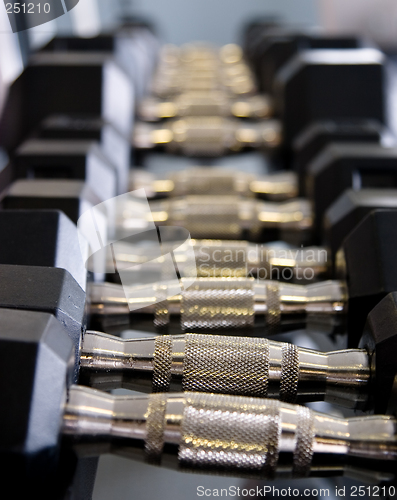 Image of Dumbbells at a gym