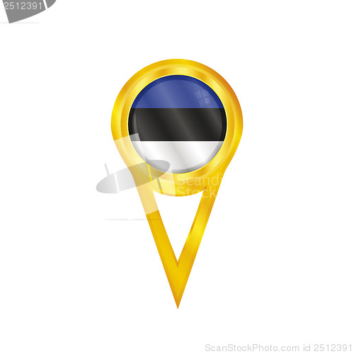 Image of Estonia pin flag