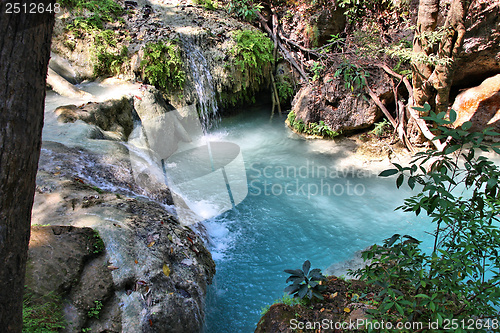 Image of Thailand nature