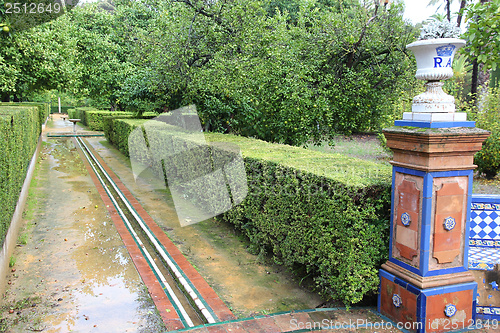 Image of Alcazar gardens in Sevilla