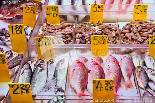 Image of Seafood