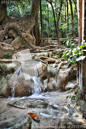 Image of Thailand - national park