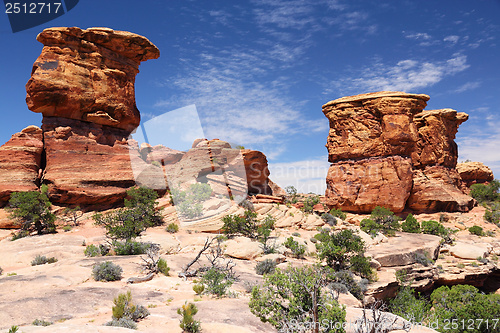 Image of Canyonlands National Park