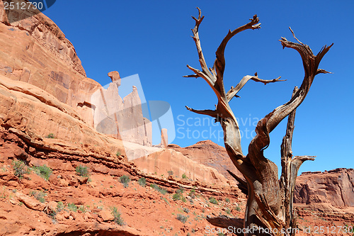 Image of Arches National Park