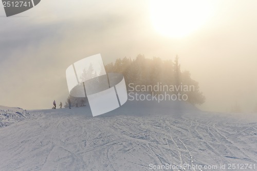 Image of Winter Landscape