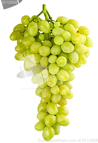 Image of isolated bunch of grapes