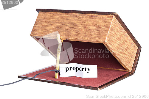 Image of Property trap,  catch