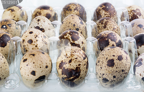 Image of quail eggs